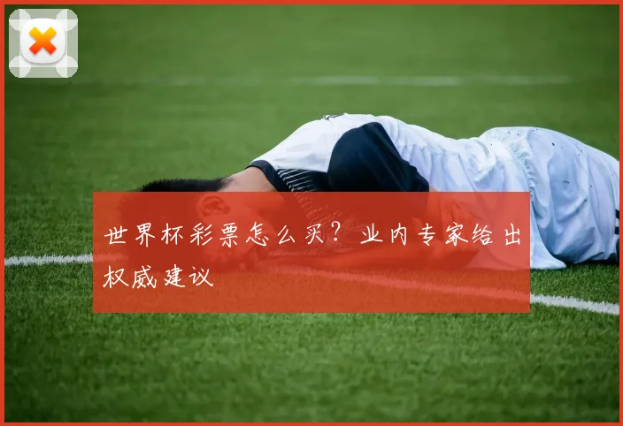 世界杯彩票怎么买？业内专家给出权威建议