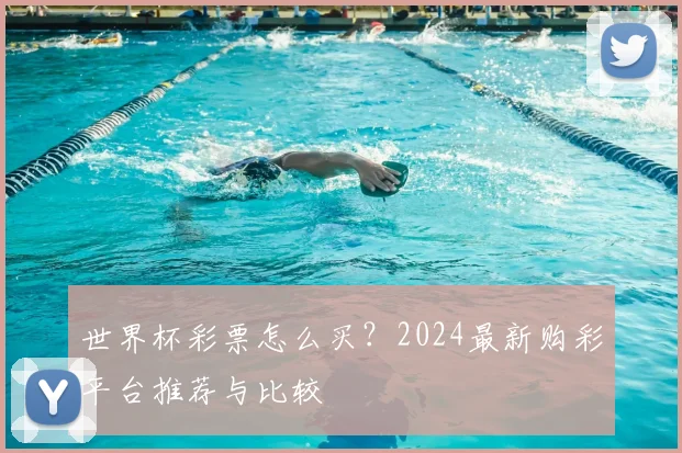 世界杯彩票怎么买？2024最新购彩平台推荐与比较