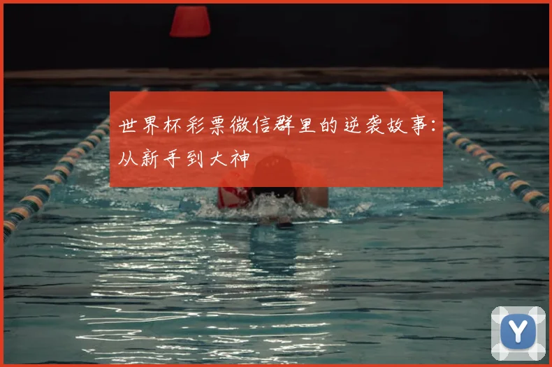 世界杯彩票微信群里的逆袭故事：从新手到大神