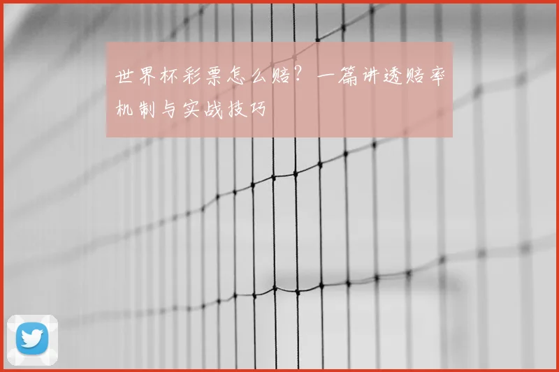 世界杯彩票怎么赔？一篇讲透赔率机制与实战技巧