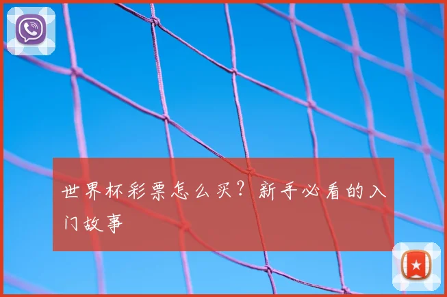 世界杯彩票怎么买？新手必看的入门故事