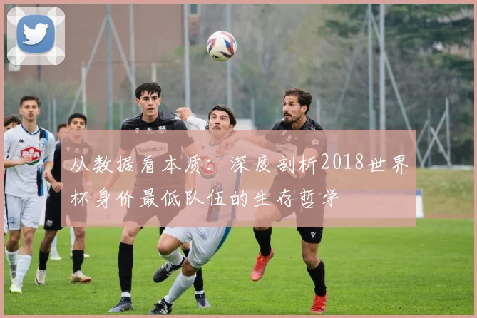 从数据看本质：深度剖析2018世界杯身价最低队伍的生存哲学