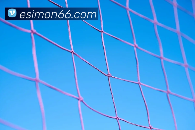 多媒体互动体验